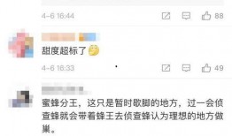可甜最新爆料网站下载,网站下载背后的秘密与亮点