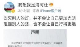 比亚迪高管爆料事件最新,揭秘企业内部真相与争议