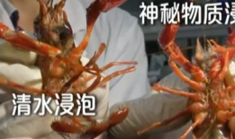 小虾爆料最新消息,最新热点事件深度解析