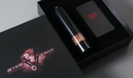 ro最新爆料,揭秘游戏内重大更新与神秘新内容